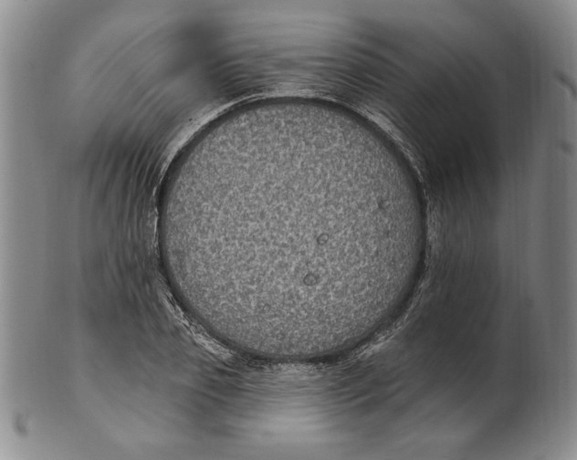 X0000101970933200808081548