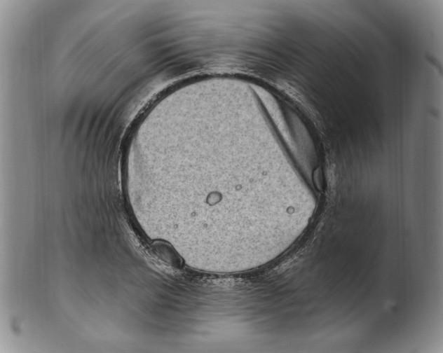 X0000101970934200808081548