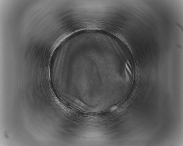 X0000101970935200808081548