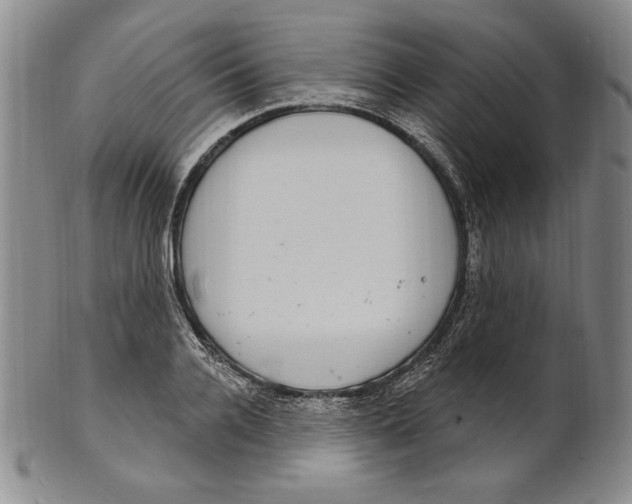 X0000101970936200808081548