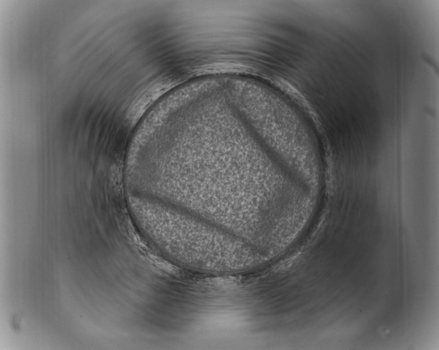 X0000101970937200808081548