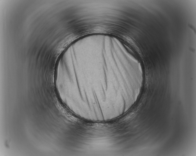 X0000101970938200808081548