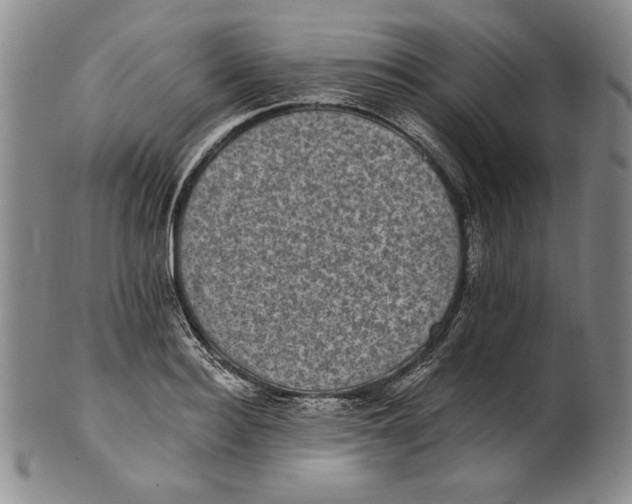 X0000101970940200808081548