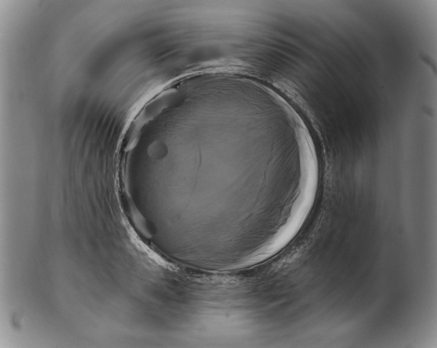 X0000101970941200808081548