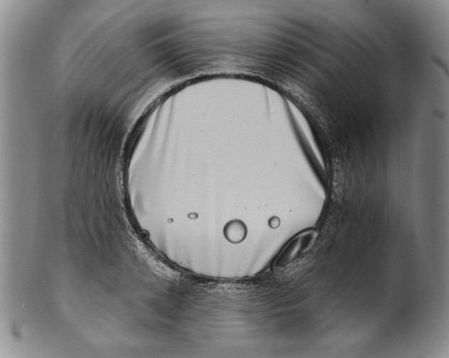 X0000101970942200808081548