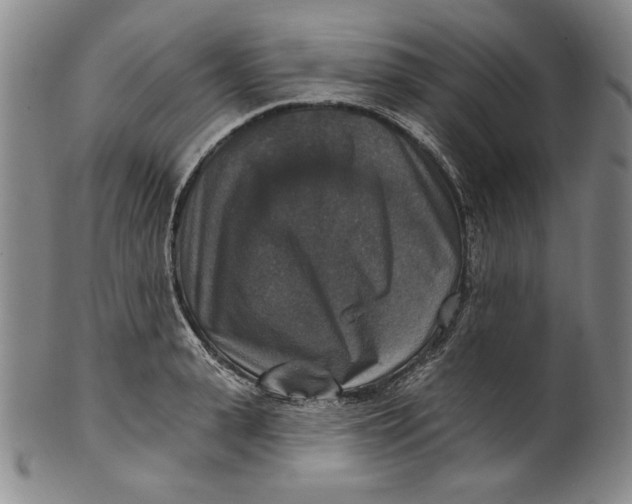 X0000101970943200808081548