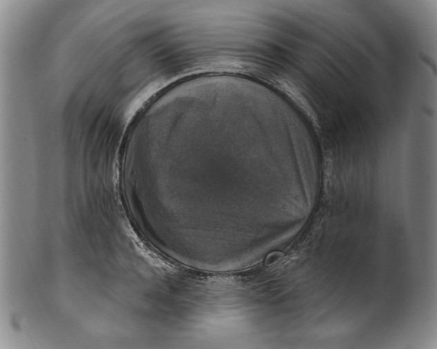 X0000101970944200808081548