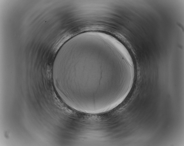 X0000101970945200808081548