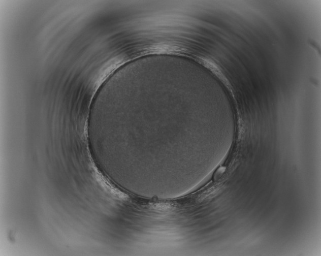 X0000101970946200808081548