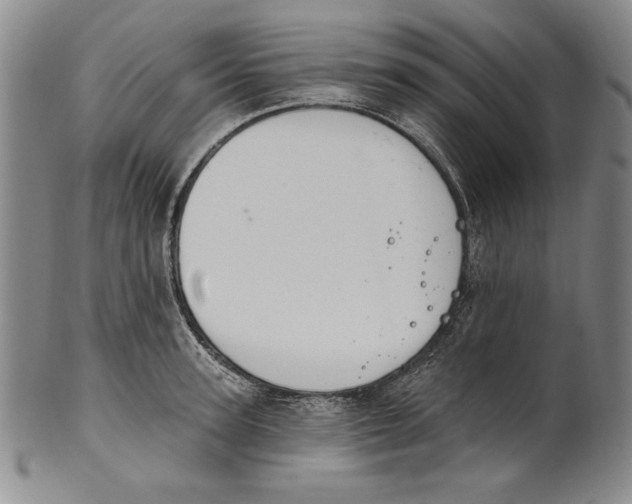 X0000101970947200808081548