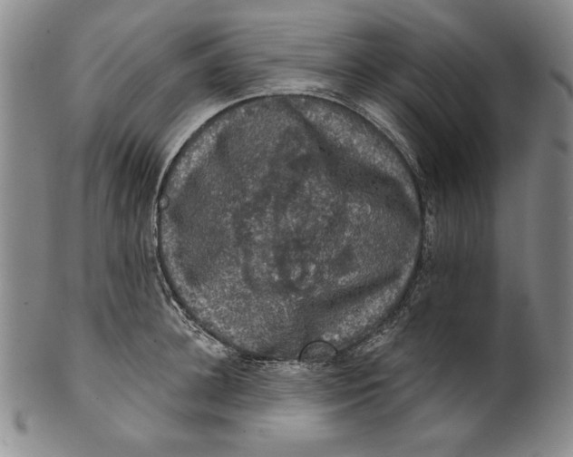 X0000101970948200808081548