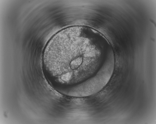 X0000101970950200808081548