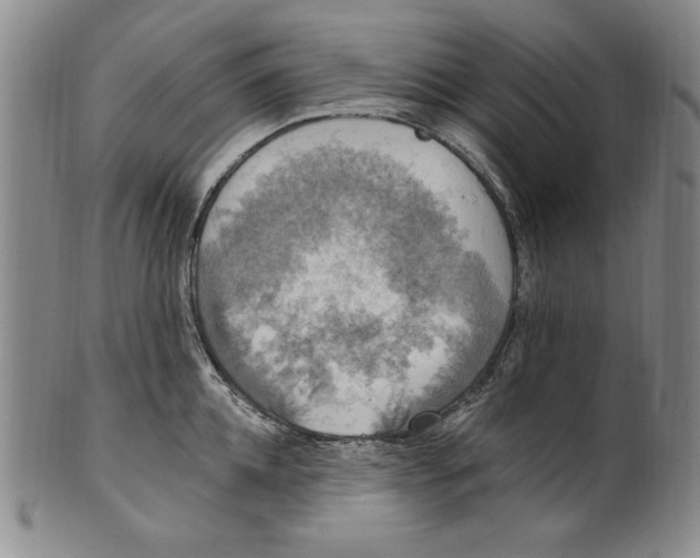 X0000101970952200808081548