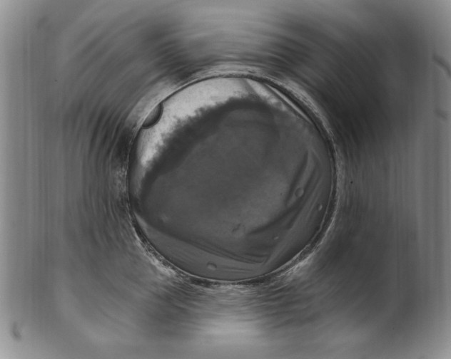 X0000101970953200808081548