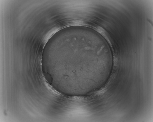 X0000101970954200808081548