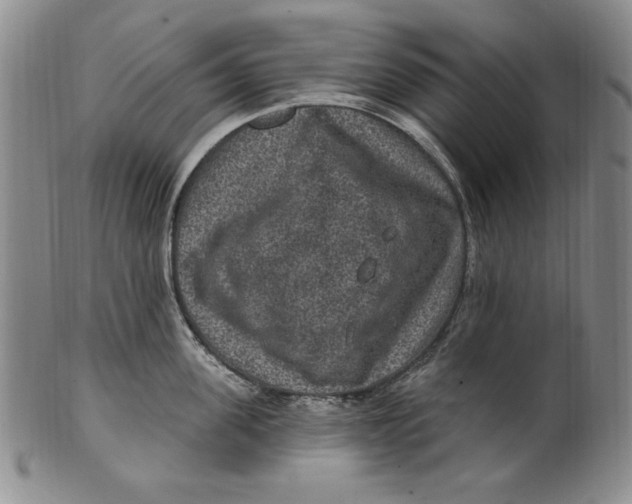 X0000101970955200808081548