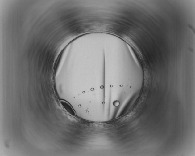 X0000101970956200808081548