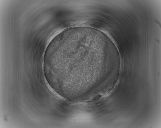 X0000101970957200808081548