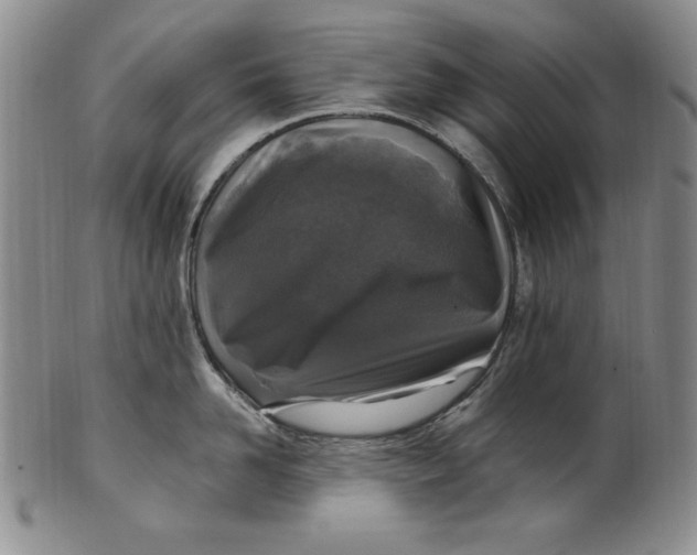 X0000101970958200808081548