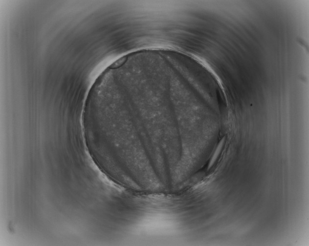 X0000101970959200808081548