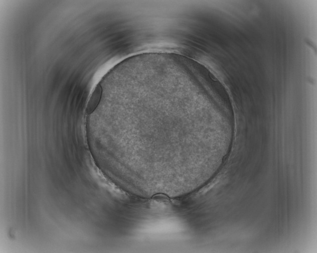 X0000101970960200808081548