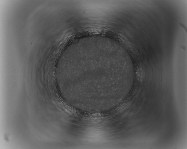 X0000101970961200808081547