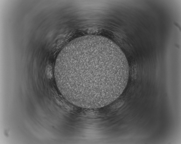 X0000101970962200808081547