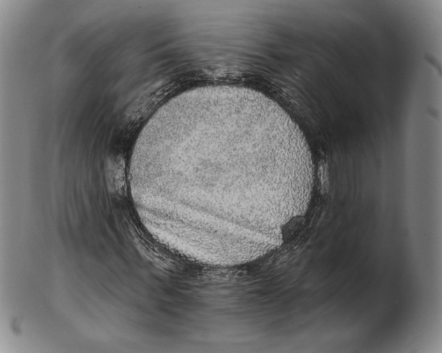 X0000101970963200808081547