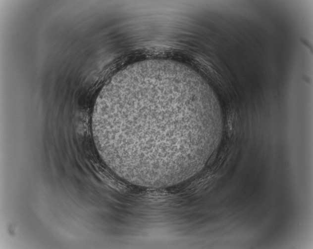 X0000101970964200808081547