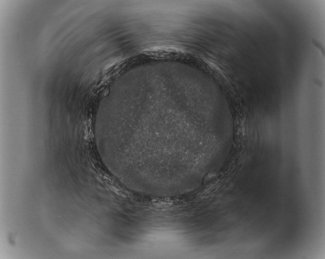 X0000101970965200808081547