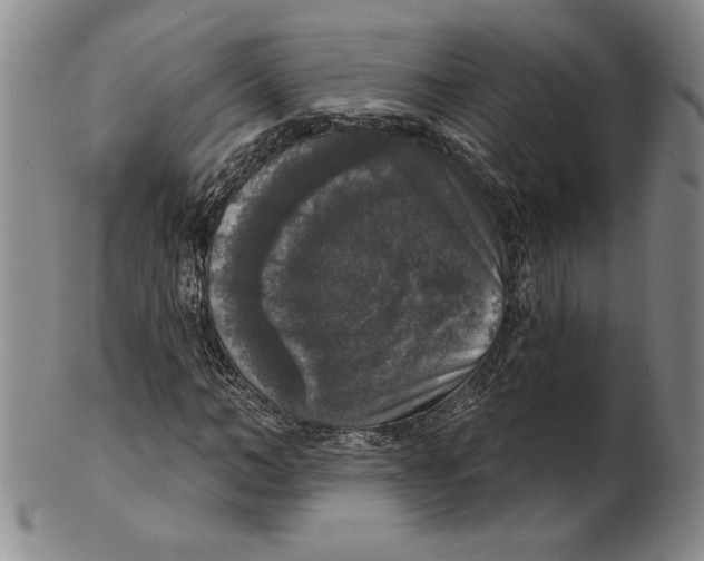 X0000101970966200808081547