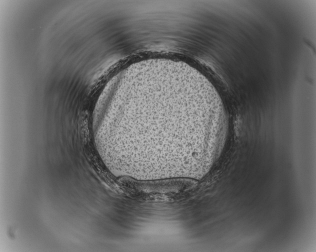 X0000101970968200808081547