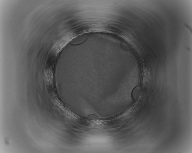 X0000101970969200808081547