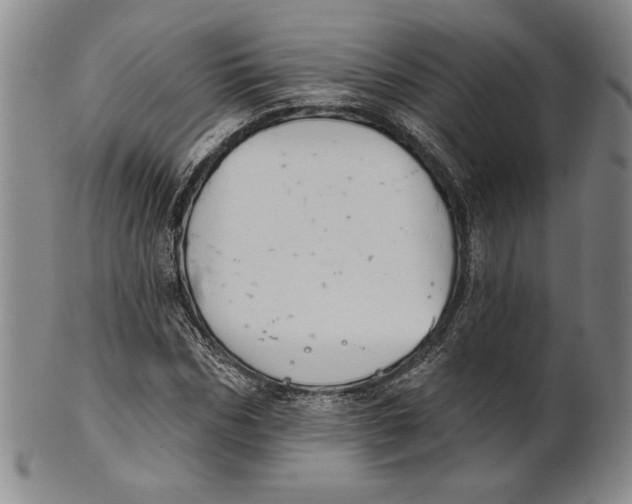 X0000101970970200808081547