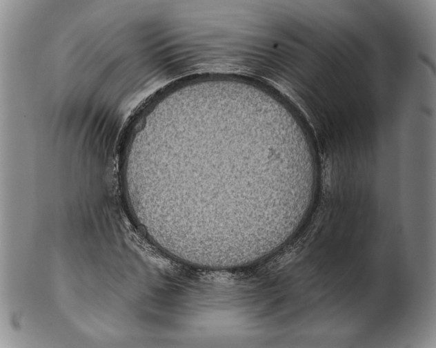 X0000101970971200808081547