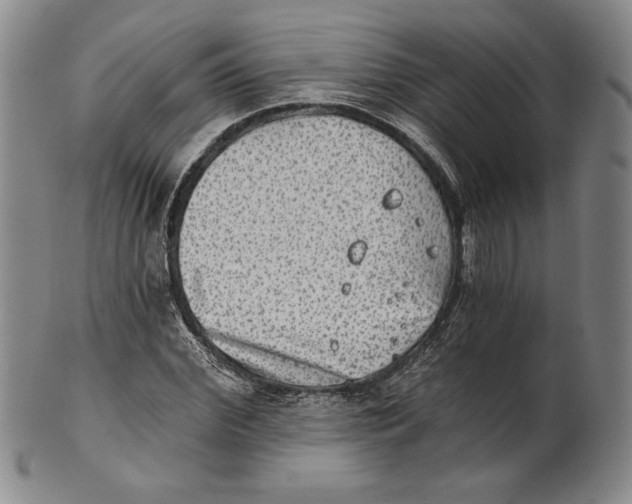 X0000101970972200808081547