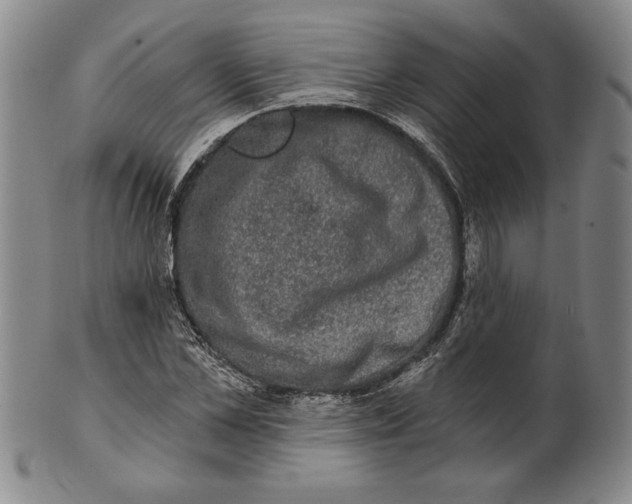 X0000101970973200808081547