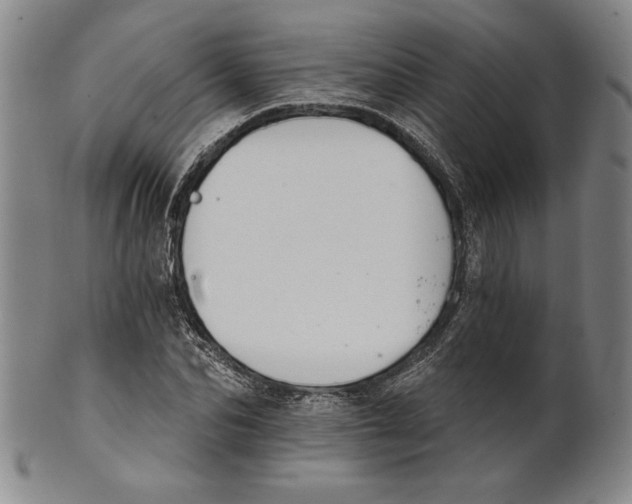 X0000101970974200808081547