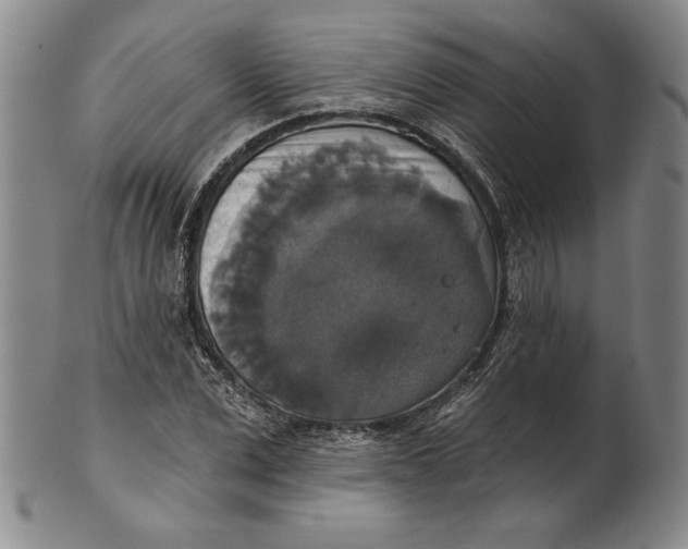 X0000101970975200808081547