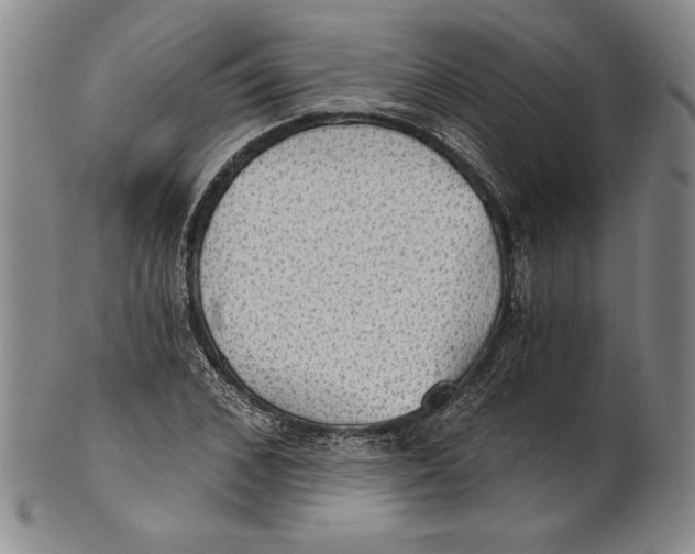 X0000101970976200808081547