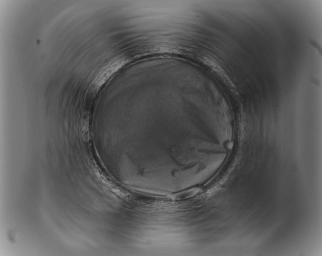 X0000101970977200808081547