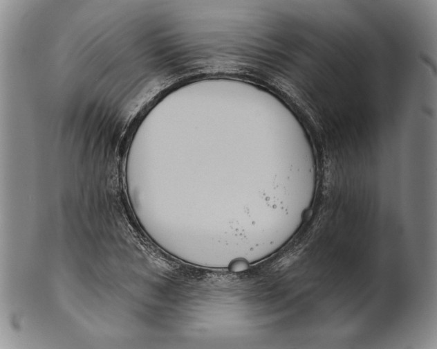 X0000101970978200808081547