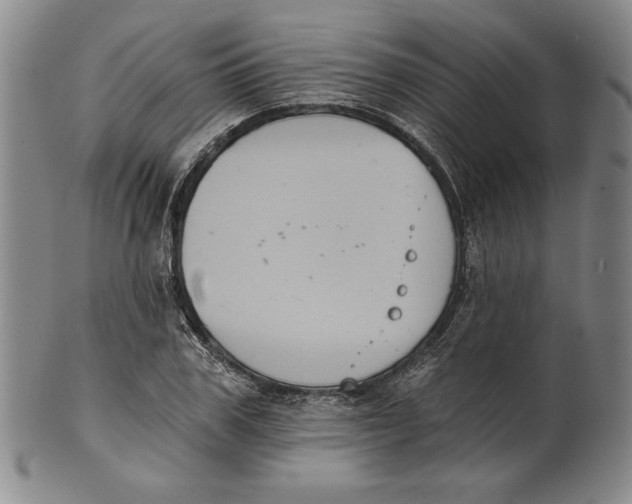 X0000101970979200808081547