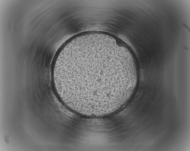 X0000101970980200808081547