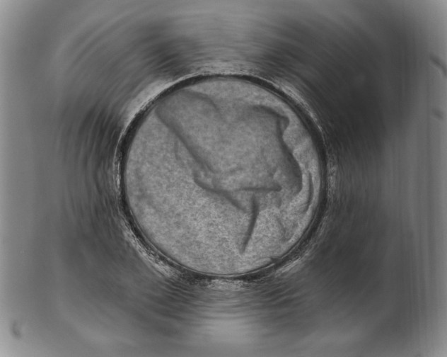 X0000101970981200808081547