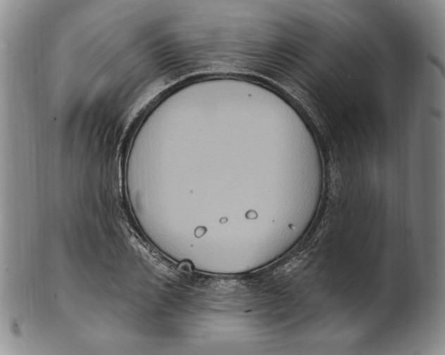 X0000101970982200808081547