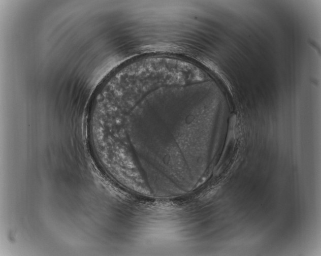 X0000101970983200808081547