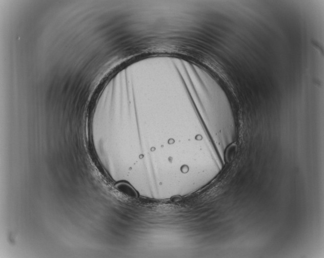 X0000101970984200808081547