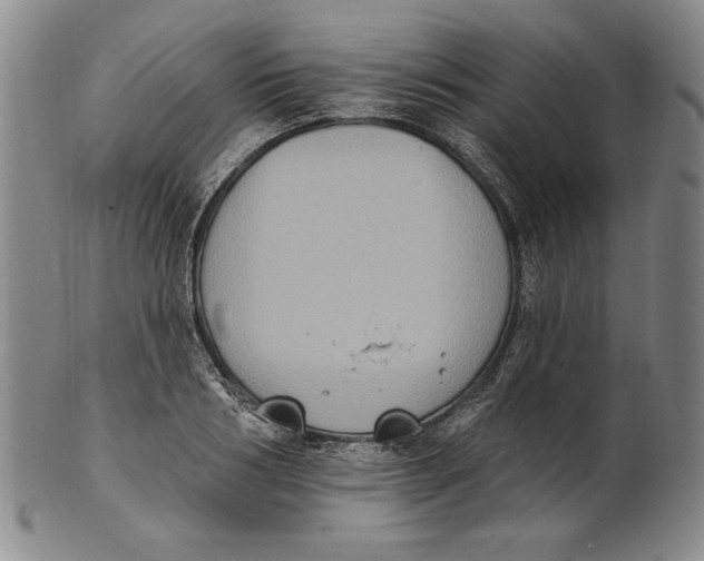 X0000101970986200808081547