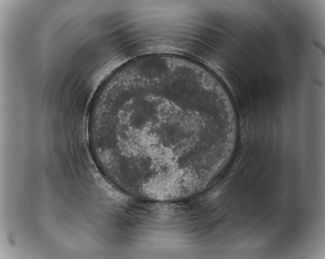 X0000101970987200808081547